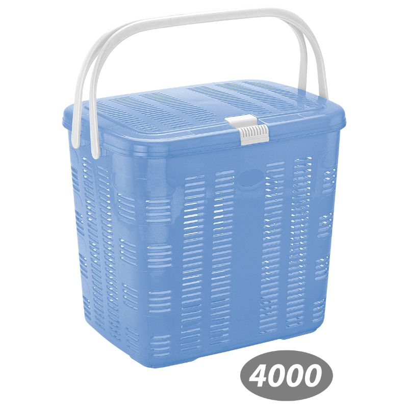 سبد پیک نیک بهار 2 کد 4000 — تصویر ۲