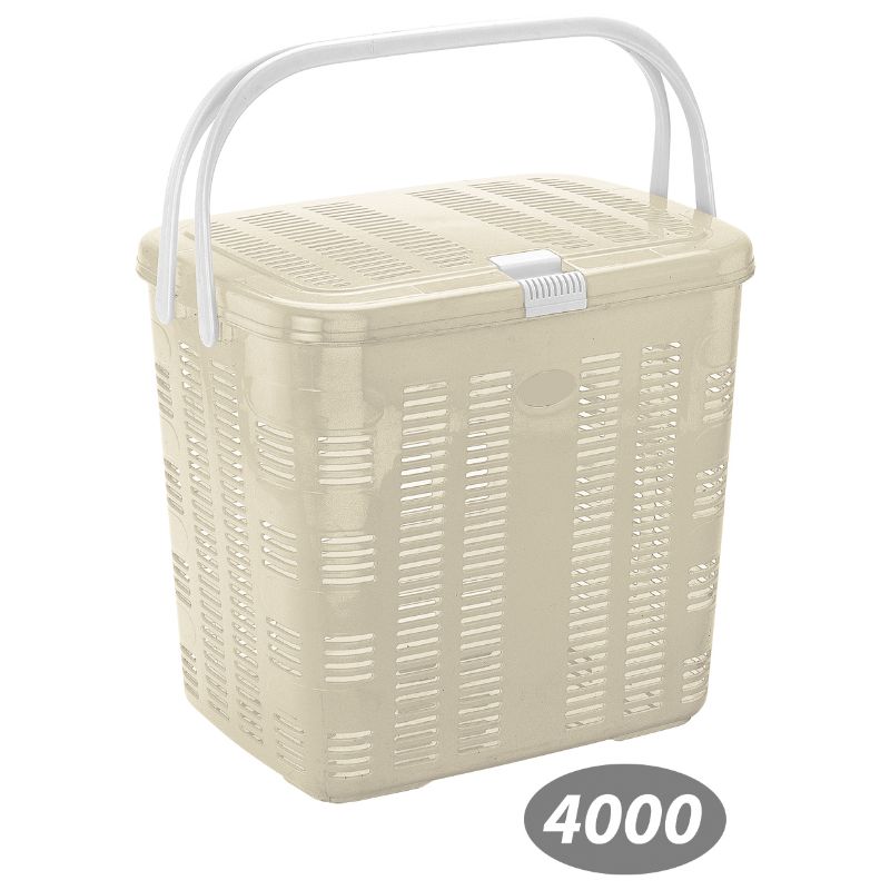 سبد پیک نیک بهار 2 کد 4000 — تصویر ۵