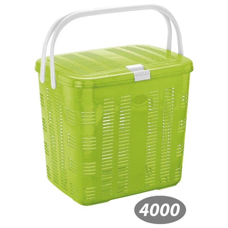 سبد پیک نیک بهار 2 کد 4000 — تصویر ۶