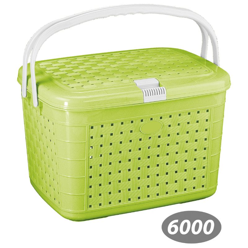 سبد پیک نیک گلرنگ 1 کد 6000 — تصویر ۶