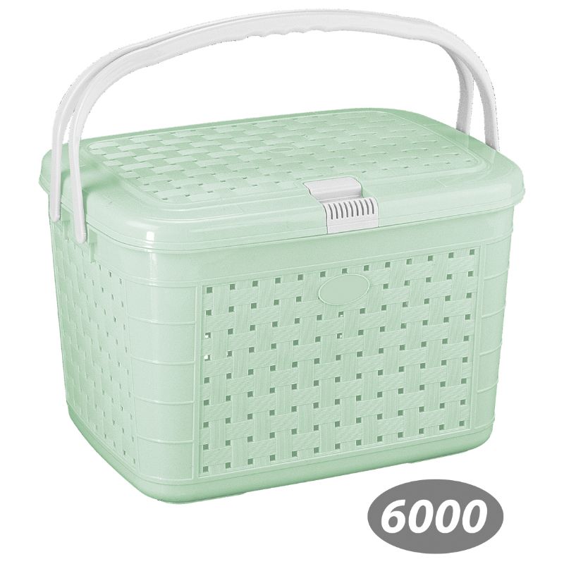 سبد پیک نیک گلرنگ 1 کد 6000 — تصویر ۳
