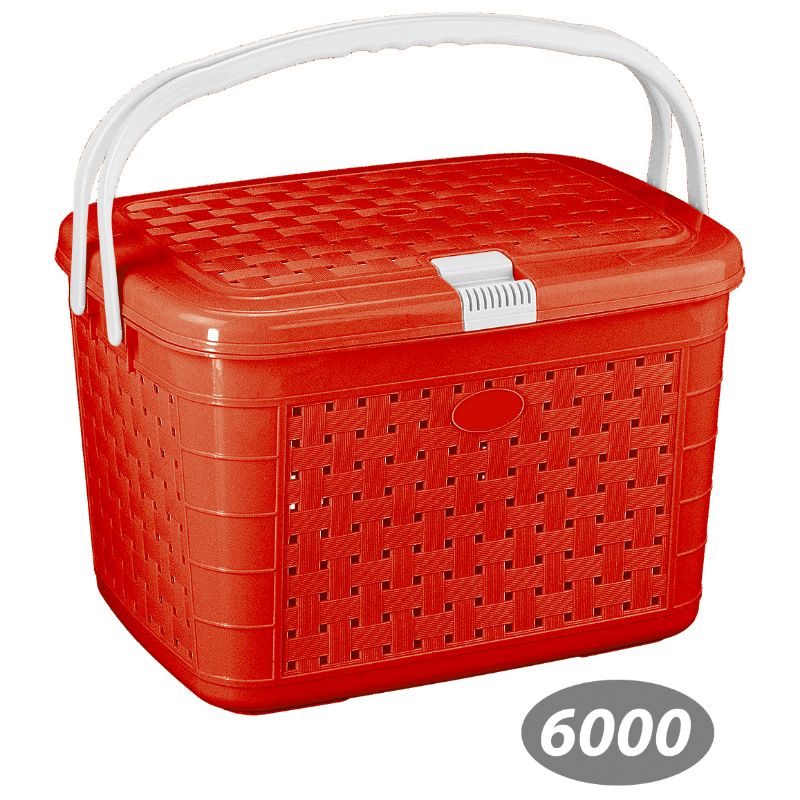 سبد پیک نیک گلرنگ 1 کد 6000 — تصویر ۹