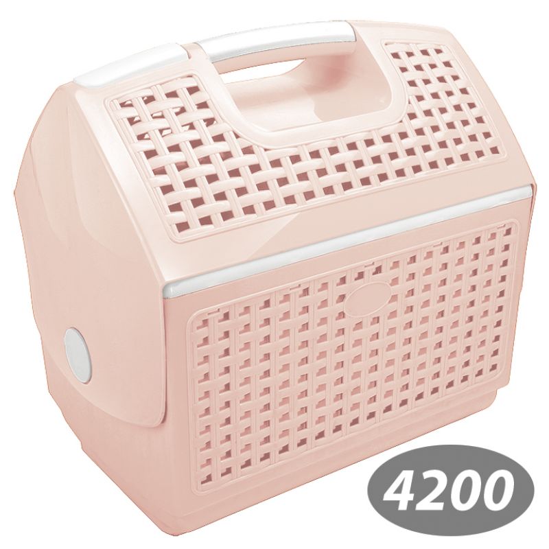 سبد پیک نیک گلرو 1 کد 4200 — تصویر ۴
