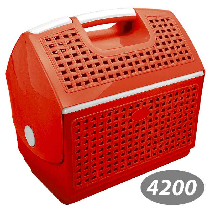سبد پیک نیک گلرو 1 کد 4200 — تصویر ۳