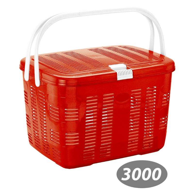 سبد پیک نیک بهار 1 کد 3000 — تصویر ۹
