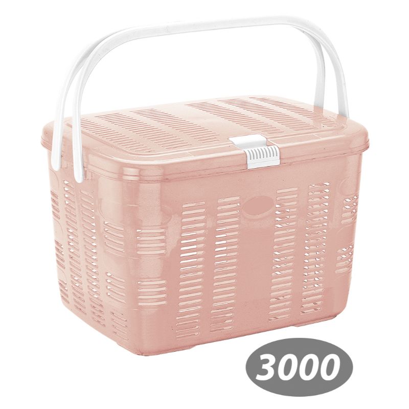 سبد پیک نیک بهار 1 کد 3000 — تصویر ۱۰