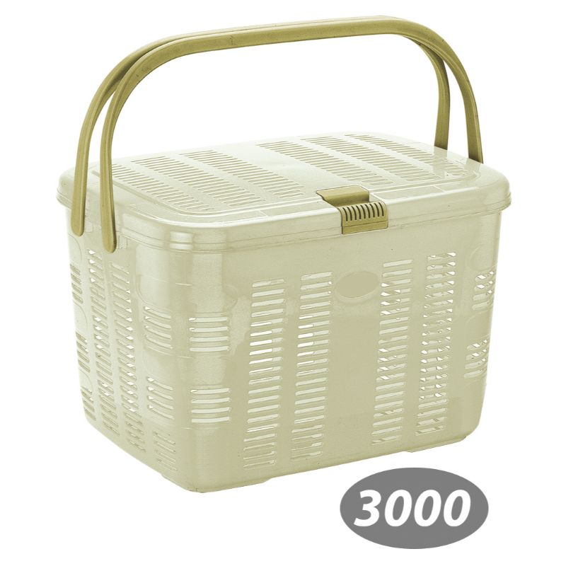 سبد پیک نیک بهار 1 کد 3000 — تصویر ۴