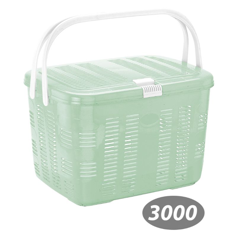 سبد پیک نیک بهار 1 کد 3000 — تصویر ۲