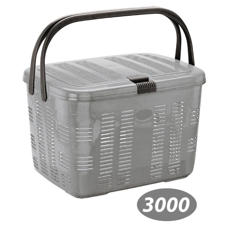 سبد پیک نیک بهار 1 کد 3000 — تصویر ۵