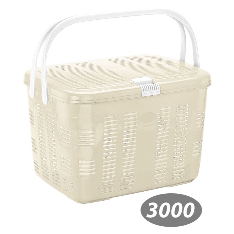 سبد پیک نیک بهار 1 کد 3000 — تصویر ۳