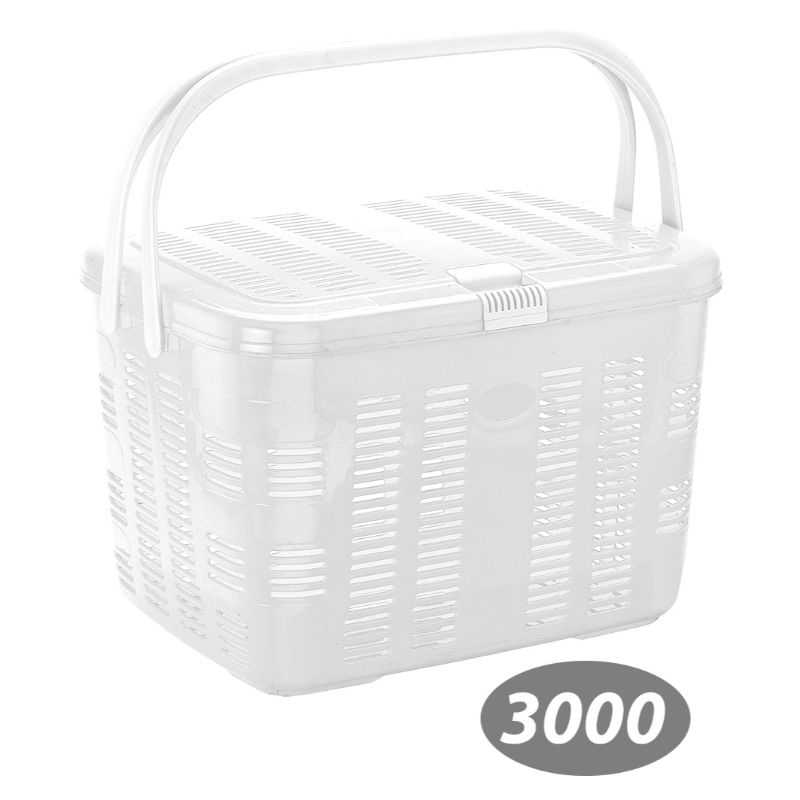سبد پیک نیک بهار 1 کد 3000 — تصویر ۷