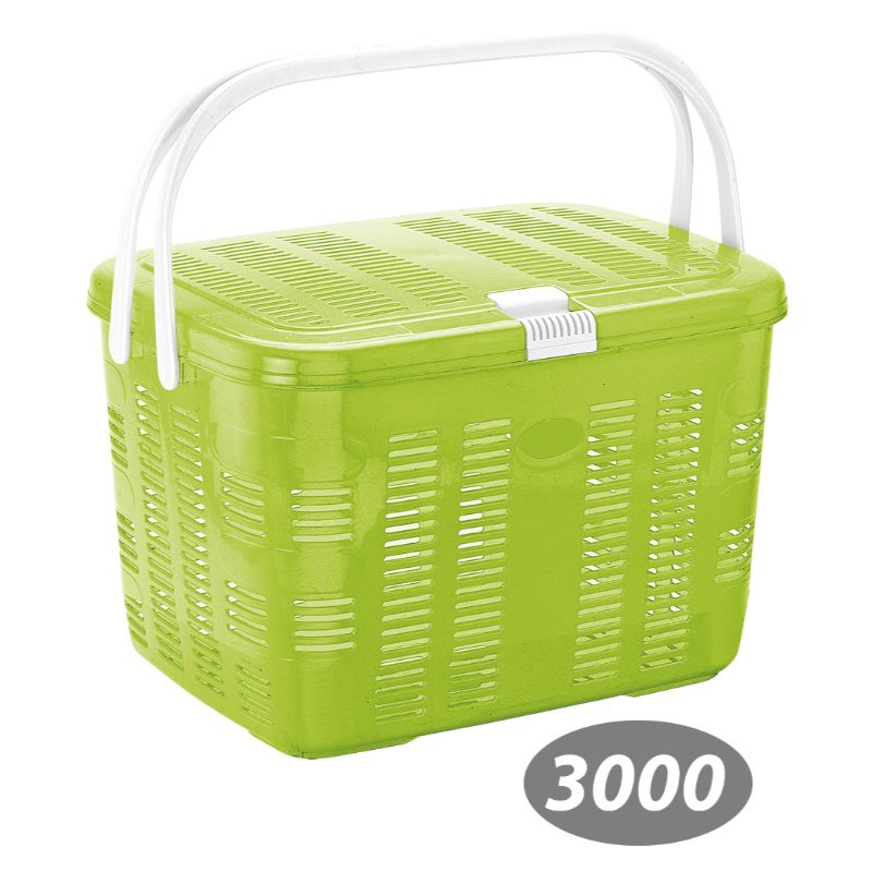 سبد پیک نیک بهار 1 کد 3000