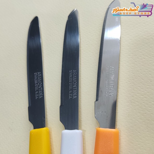 کارد میوه خوری آرامونتانا برزیلی 12 تایی — تصویر ۲